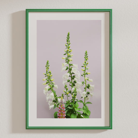 Foxglove Premium Matte Paper Poster - A3 (29.7 x 42 cm)