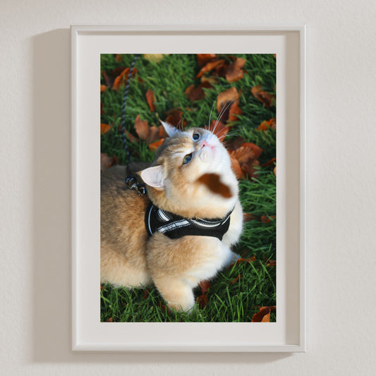 Autumn Fudge Premium Matte Paper Poster - A3 (29.7 x 42 cm)