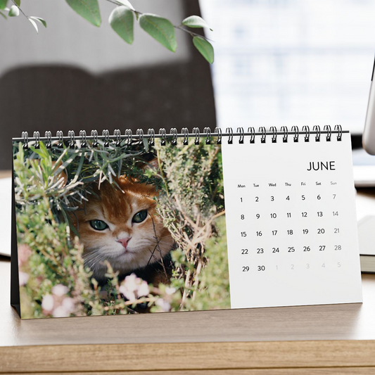 2026 Fudge Desk Calendar - 2026 Cat Calendar