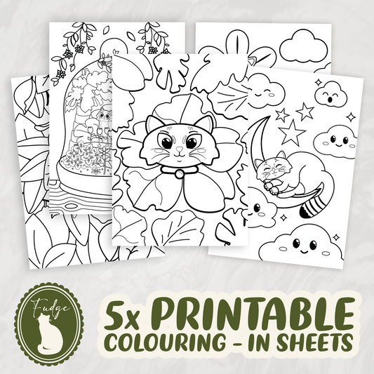 Colouring-in sheets - Spring Fudge collection (Digital product)
