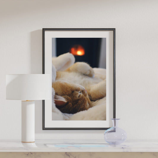 Cosy Fudge Premium Matte Paper Poster - A3 (29.7 x 42  cm)