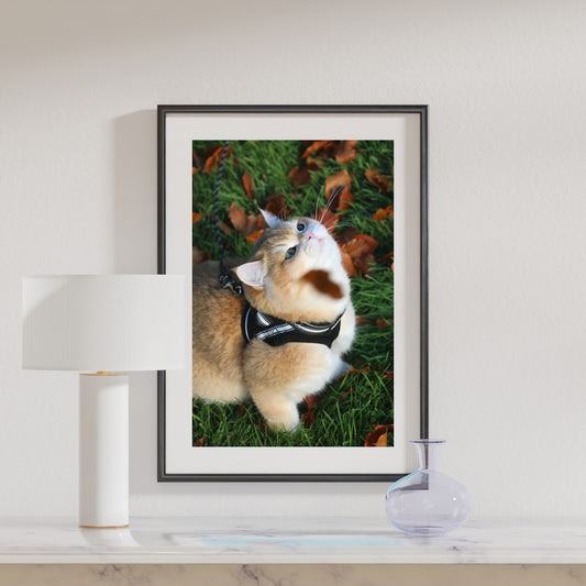Autumn Fudge Premium Matte Paper Poster - A3 (29.7 x 42  cm)