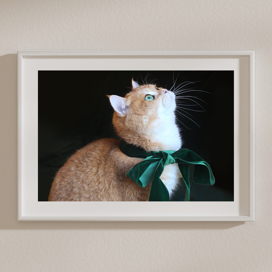 Fudge bow Premium Matte Paper Poster - A3 (29.7 x 42  cm)