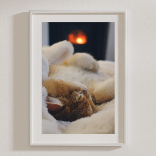 Cosy Fudge Premium Matte Paper Poster - A3 (29.7 x 42  cm)