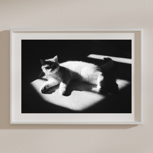 Black and White Fudge Premium Matte Paper Poster - A3 (29.7 x 42  cm)